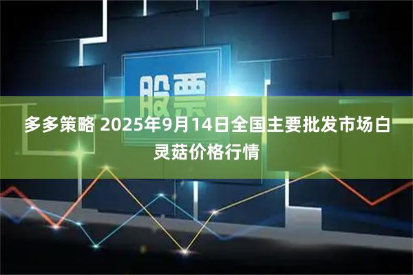 多多策略 2025年9月14日全国主要批发市场白灵菇价格行情