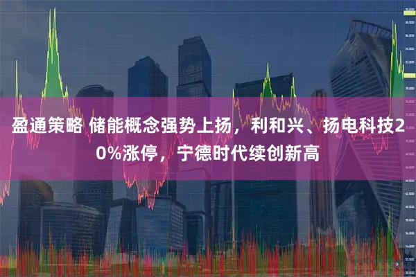 盈通策略 储能概念强势上扬，利和兴、扬电科技20%涨停，宁德时代续创新高
