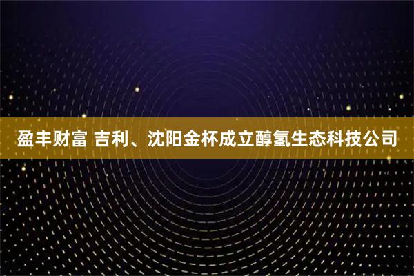盈丰财富 吉利、沈阳金杯成立醇氢生态科技公司