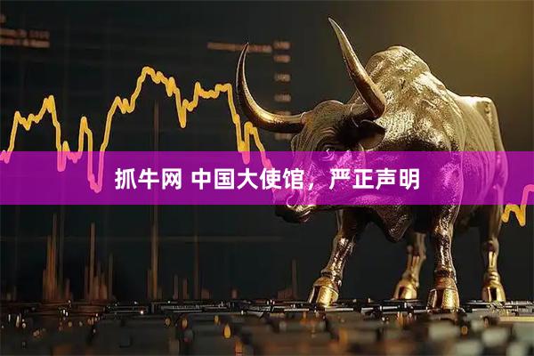 抓牛网 中国大使馆，严正声明
