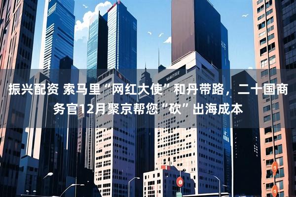 振兴配资 索马里“网红大使”和丹带路，二十国商务官12月聚京帮您“砍”出海成本