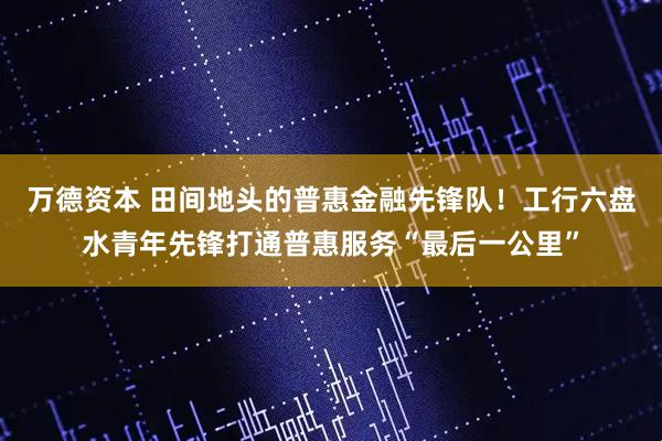 万德资本 田间地头的普惠金融先锋队！工行六盘水青年先锋打通普惠服务“最后一公里”